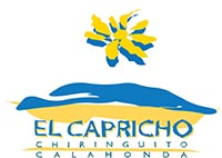 logo chiringuito